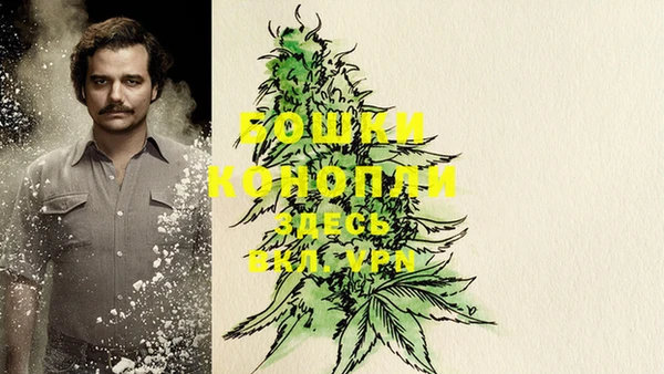 героин Алексин